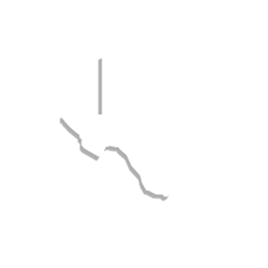 Steinberg Law Firm P.C.